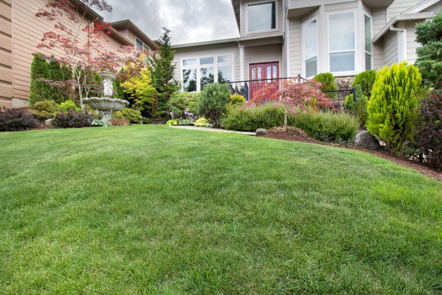 Professional lawn care services in Carmel, IN