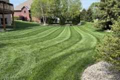 Lawn Care Specialists in Indianapolis