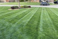 Lawn Care Services in Indianapolis
