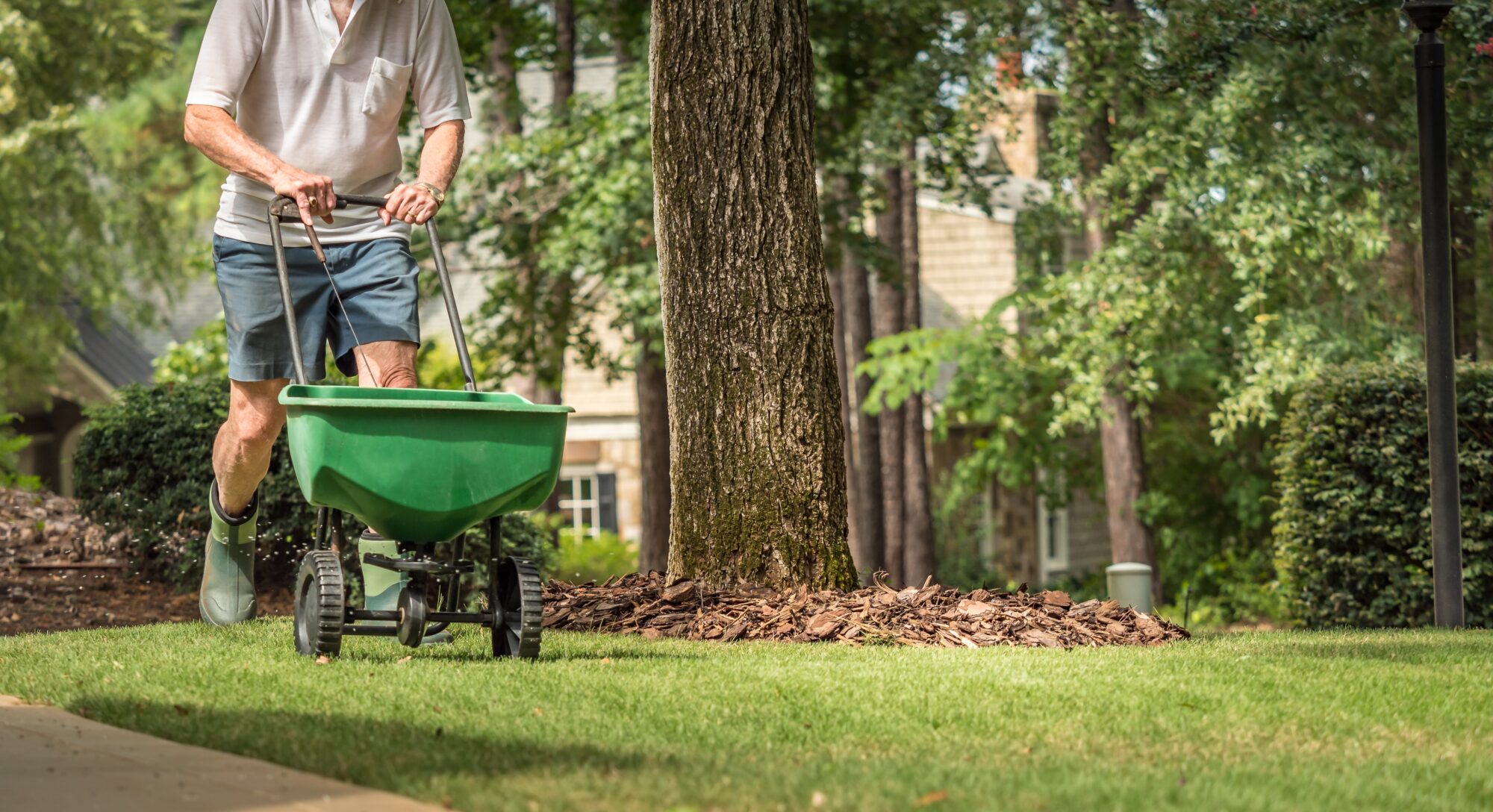 Professional lawn care services in McCordsville, IN