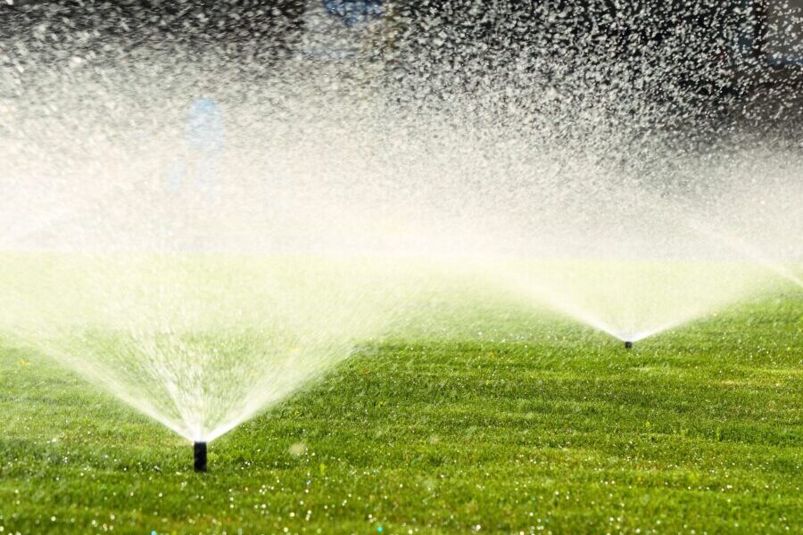 Purdue University Turfgrass Science Program