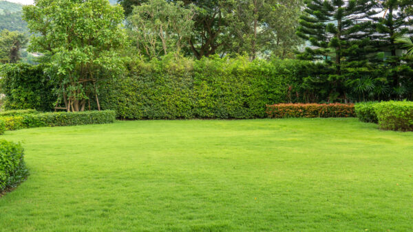 Professional Lawn Care Services in Indianapolis