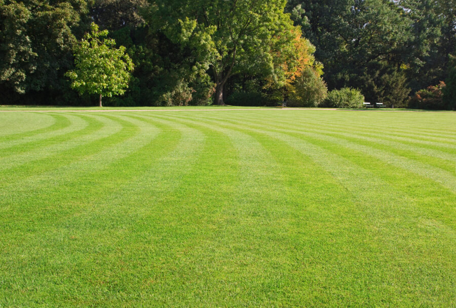 Maintaining a home lawn publication with Purdue University