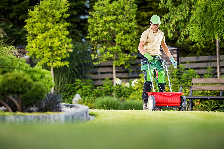 Spring Seeding: The Path to a Vibrant Lawn