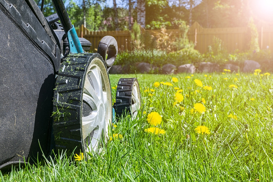 Lawn mower on green grass. Mower grass equipment. Mowing gardener care work tool.