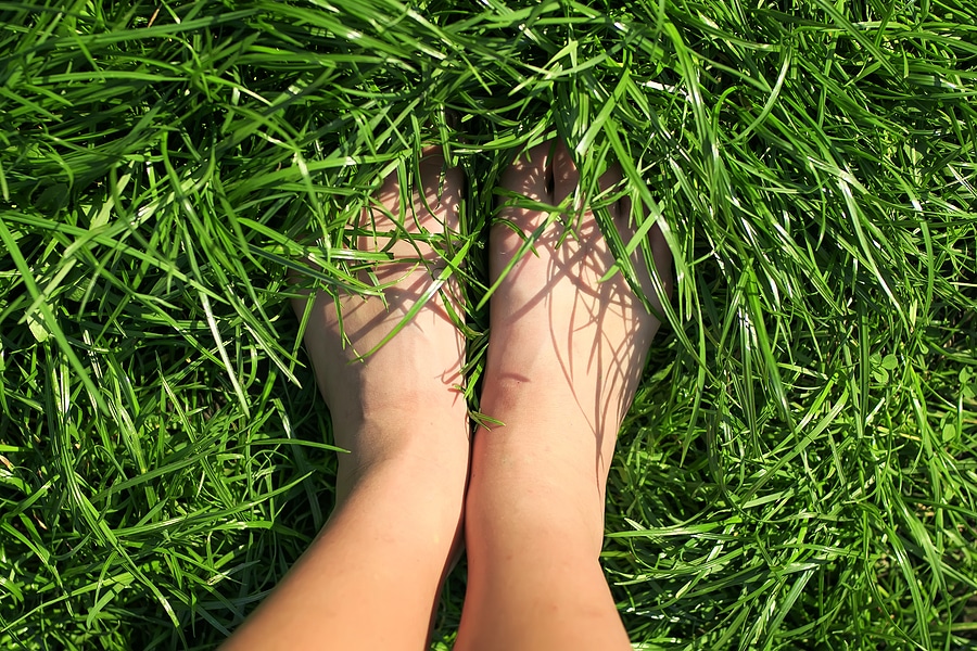 Aerial view of female barefeet immersed in a lush green grass lawn during warm weather.