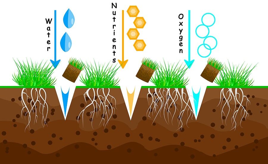 The Importance of Fall Aeration for a Healthy Lawn