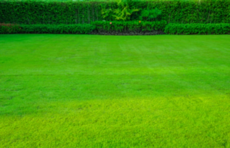 Image of lush, green front lawn with blurred trimmed bushes in the background. 