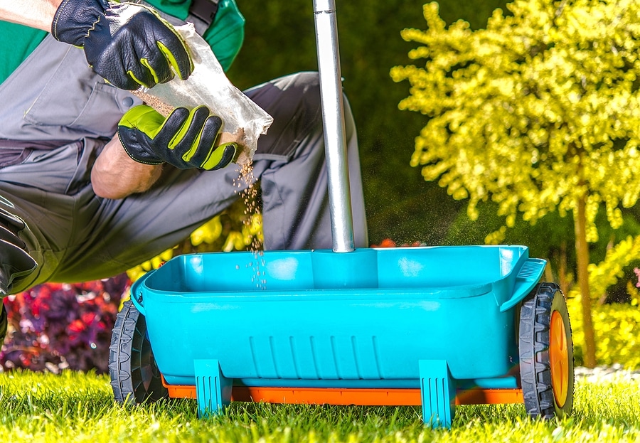 The Importance of Fertilization for a Healthy Lawn in Indianapolis