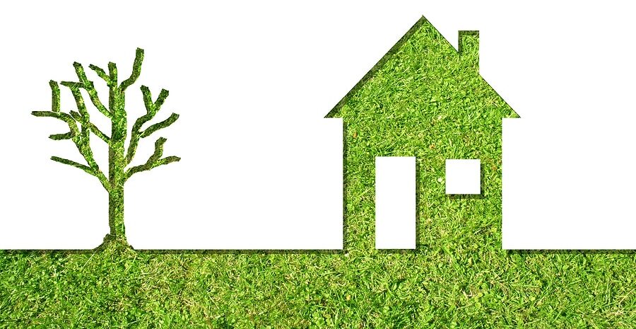 An image depicting a silhouette of a tree and a house cut out from a grassy surface. The tree is leafless with multiple branches, and the house has a chimney, a door, and a window. The background is white, creating a contrast with the green grass texture filling the shapes of the tree and house.