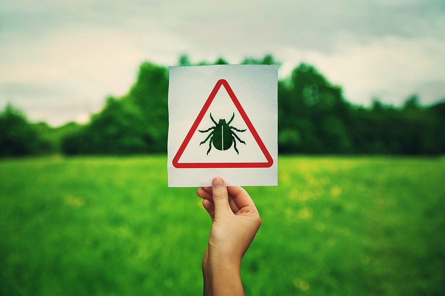hand holding a white sign with a red triangular warning symbol and a black tick icon at its center, positioned against a vibrant green field and trees in the background.