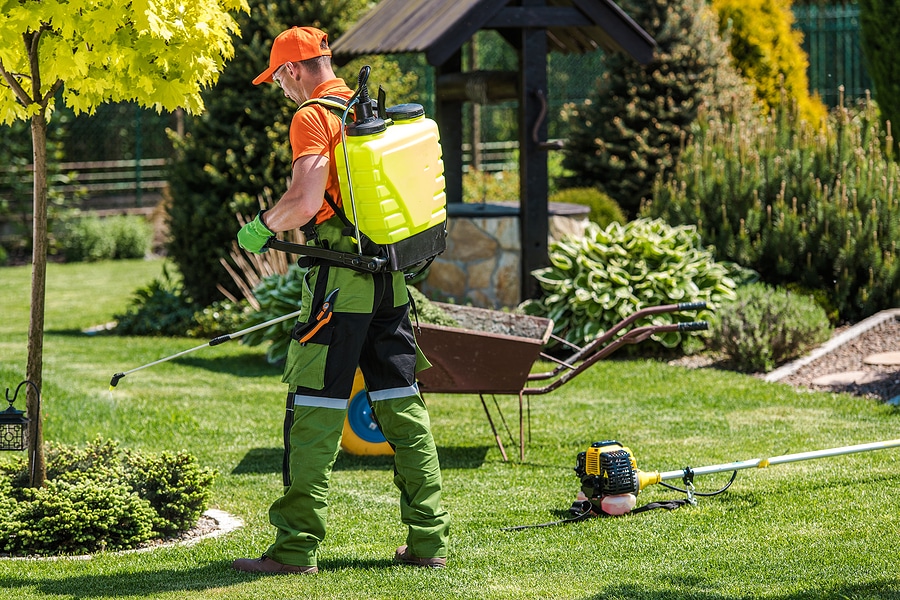 Skip the Sweat: Enjoy a Lush, Green Lawn Without the Work