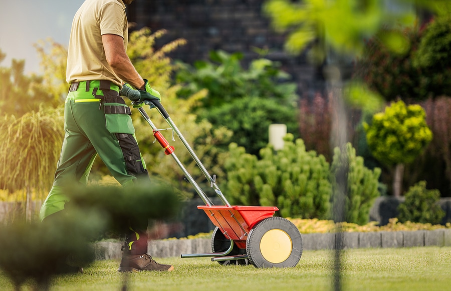 Why August Is the Perfect Time to Fertilize Your Zionsville Lawn