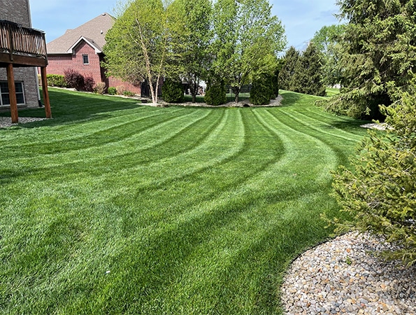 Fall Cleanup Services in Indianapolis
